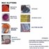 Mac Pigmento importado Fracionado 0,5g Glitter Copper Fração