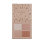 Nova Paleta iluminadora Angel Wings Catharine Hill Pri Lessa