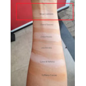 Pó Solto Velluto Michelly Palma Indic Tok cor Beige Cashmere
